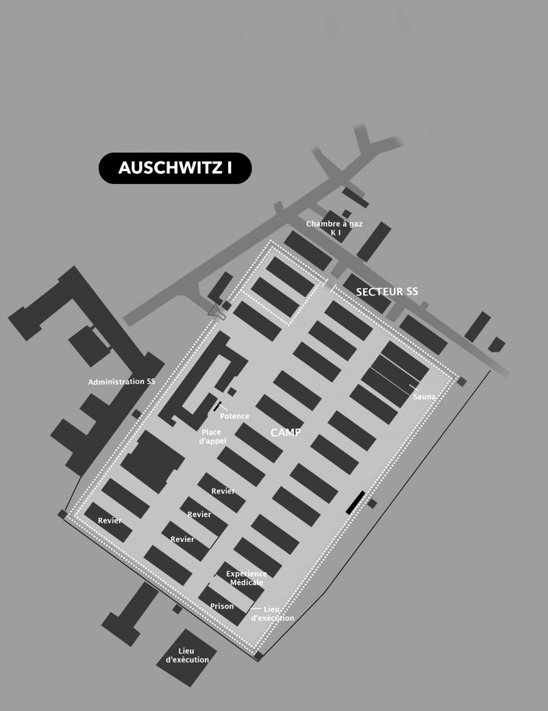 Plan Auschwitz